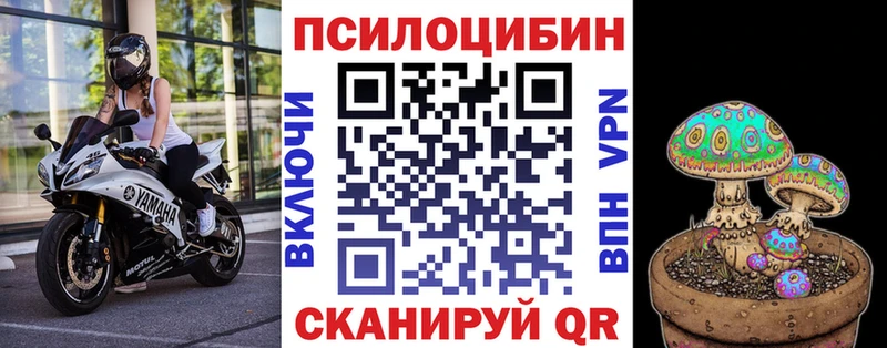 Псилоцибиновые грибы мицелий  где купить   Таганрог 